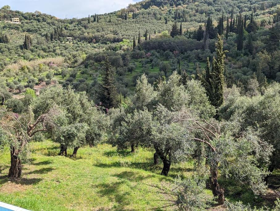 Villa Eleonas Strongyli  Εξωτερικό φωτογραφία