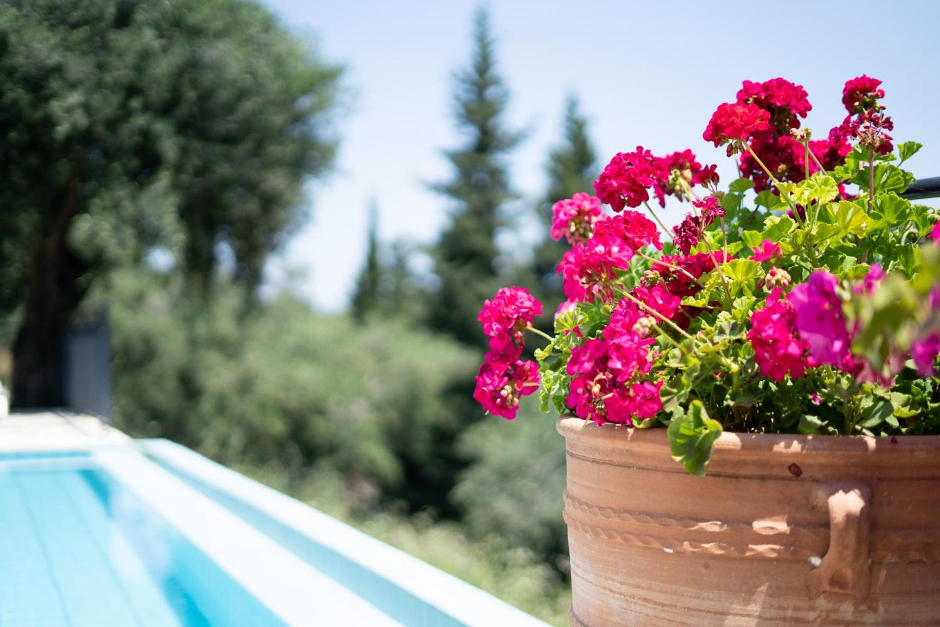 Villa Eleonas Strongyli  Εξωτερικό φωτογραφία